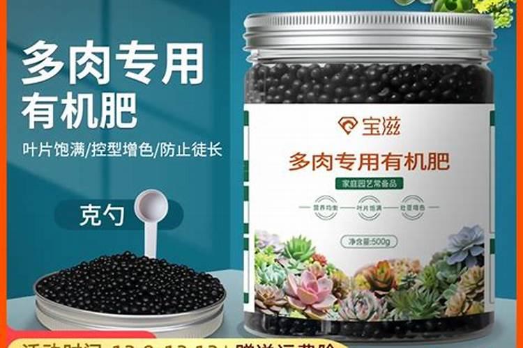 减肥适合吃哪些高蛋白食物？