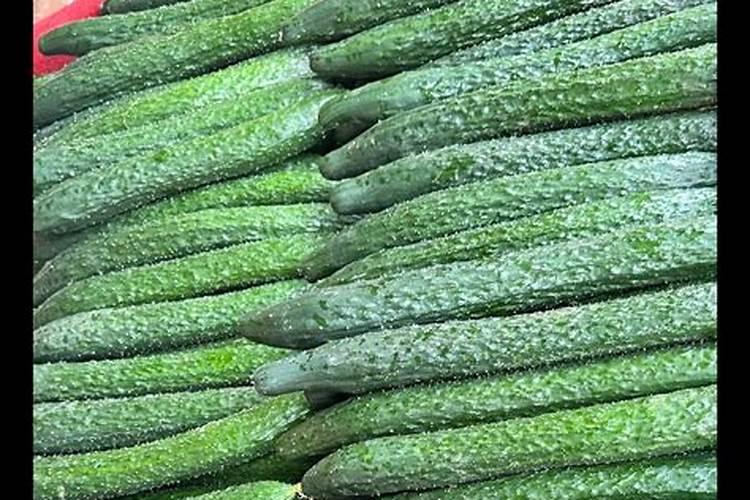 什么条件不用办理肥料登记证