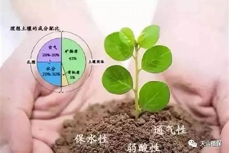 怎么辨别氮肥,磷肥,钾肥,