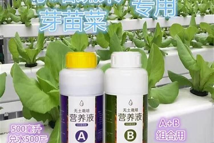水培蔬菜生根肥有哪些？