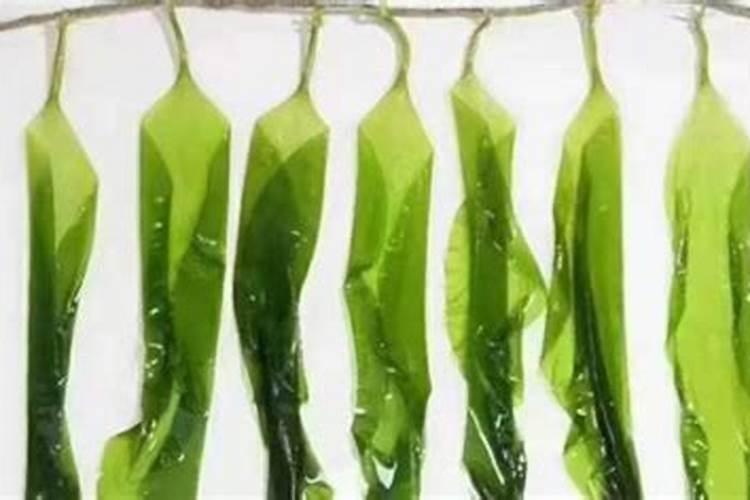 三十烷醇的使用与搭配