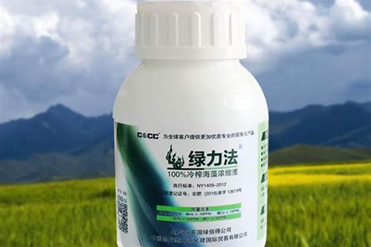 跑楼T减肥有效果嘛？