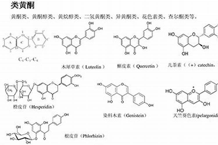茶叶中的茶多酚含量怎么能多一些？