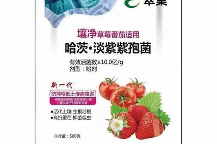 真菌细菌双效清农用酵素有哪些