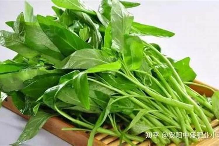 含锰的食物和植物都有那些