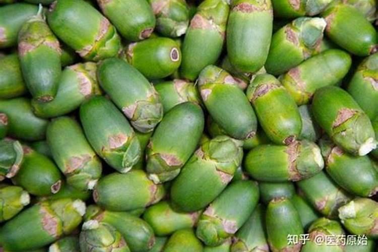 槟榔苗种多久可以施生根水种肥料？