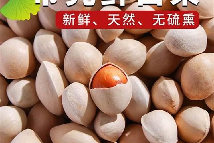 北京银杏最佳观赏期