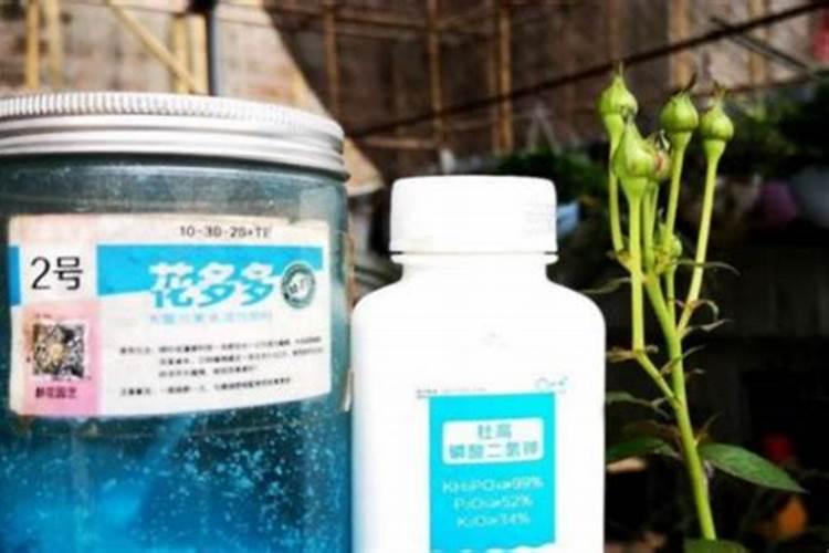 开花需要磷肥还是钾肥