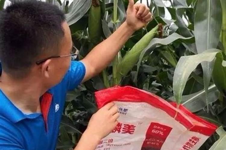 要想产品质量好,磷肥不得少,你知道如何选择磷肥吗？