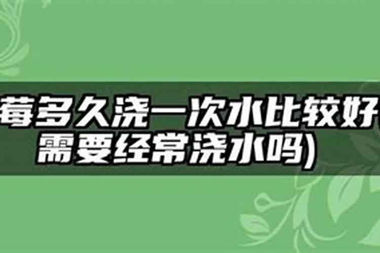 蓝莓施肥方法及注意事项有哪些蓝莓施肥方法及注意事项