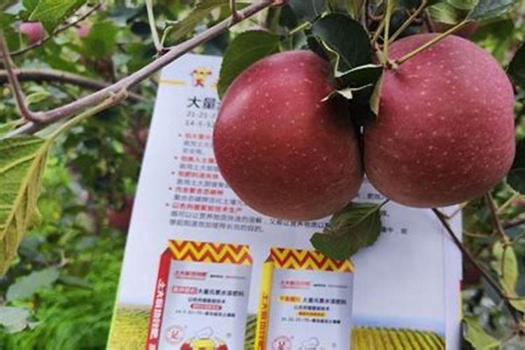 苹果树叶面喷钙、化学除草、叶面喷肥