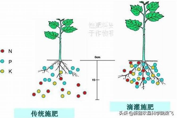 怎么让滴灌二铵融化的快一些？