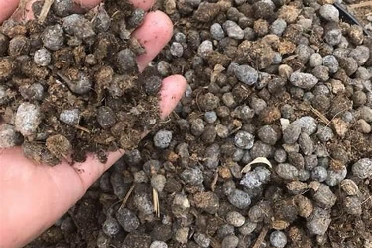 养花的有机肥在水里多久溶解呢