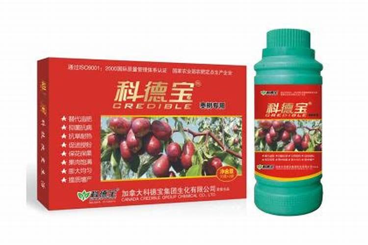 怎么给枣树喷施叶面肥？ 河南小麦高产栽培防治病虫草害技术