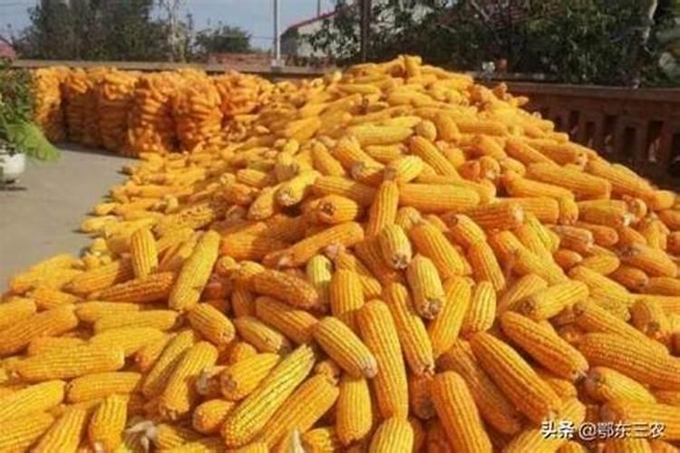 玉米需要什么样的含量肥料