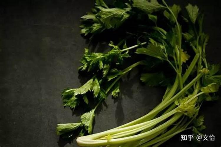 芹菜如何种植？