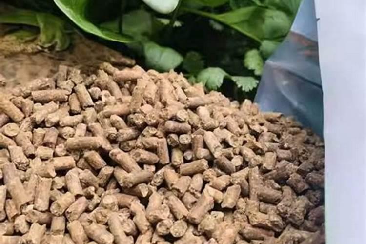 柑橘苗叶面肥施药方法 柑橘专用叶面肥应该如何施用