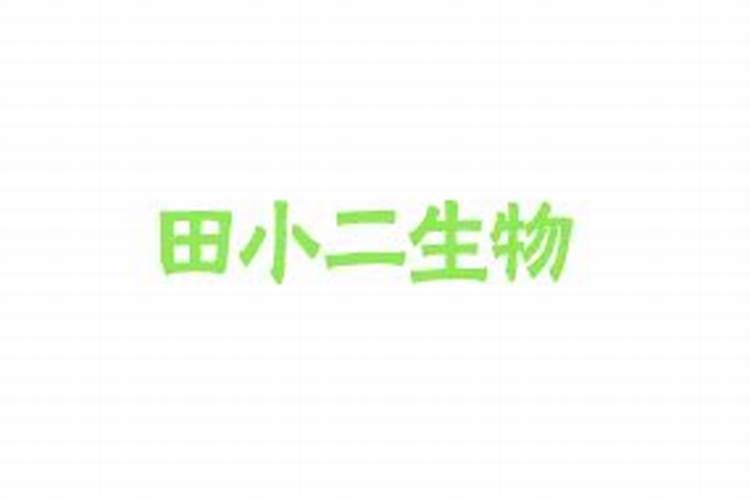 水溶肥那一个厂的好