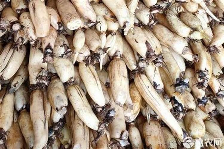 莲藕专用肥料