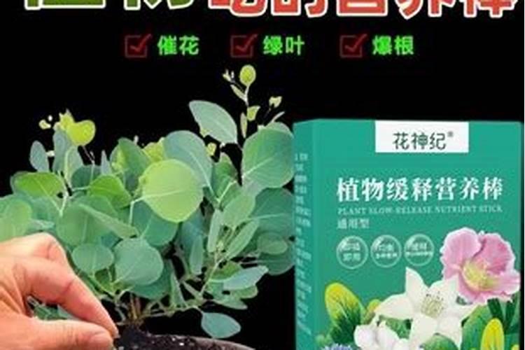 给花施肥用什么肥料
