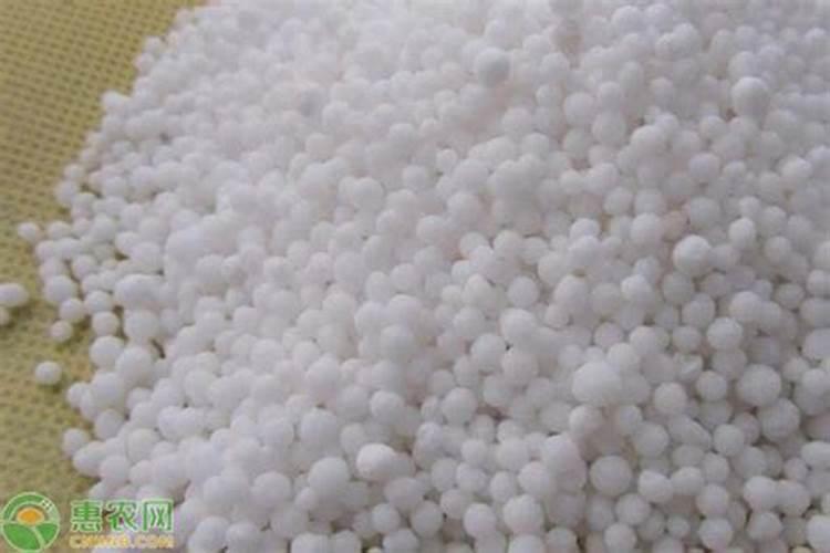 花草什么时候施肥最好 花草施肥时间