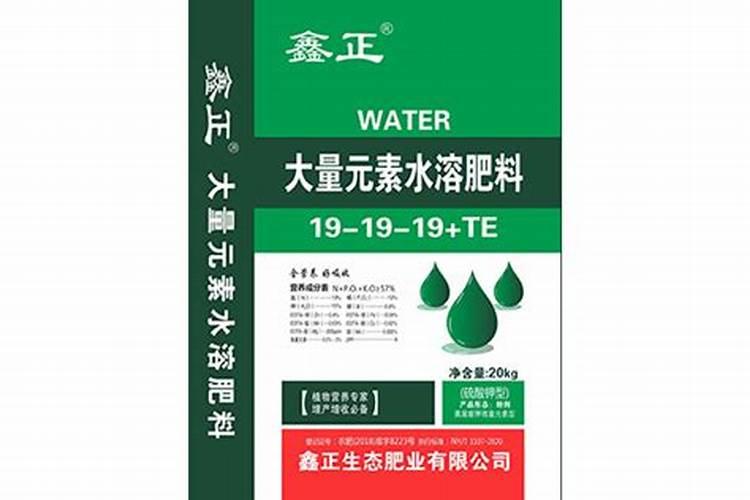 刚发芽的韭菜什么样子