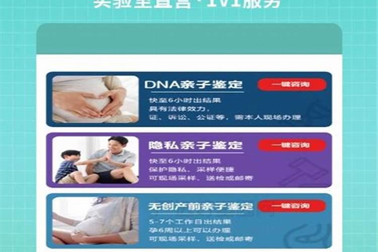 花卉缺少什么肥料如何进行判断