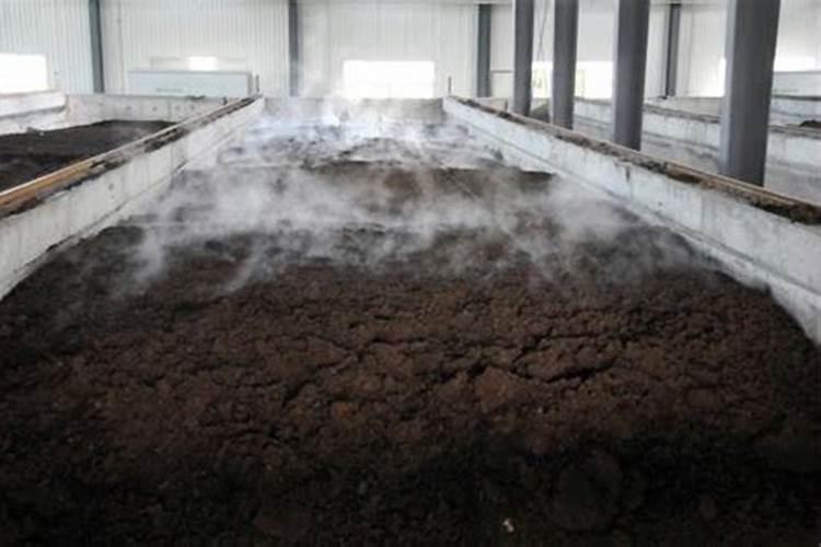 简单自制氮肥的具体方法是什么