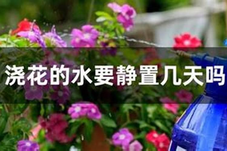 磷肥浇花的正确方法