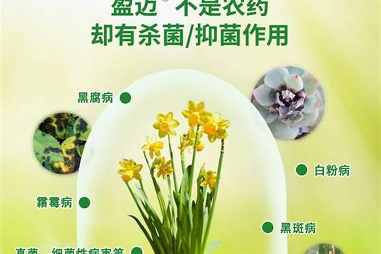 维生素b12能浇什么花