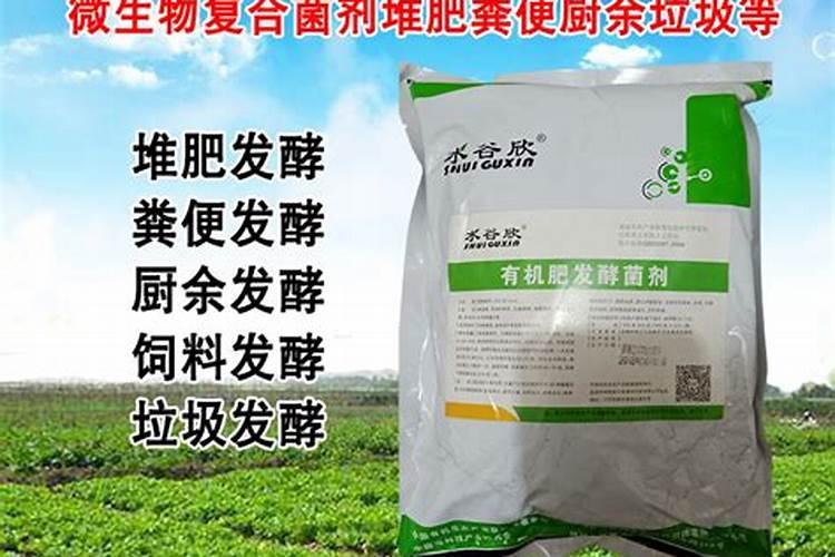 黑龙江金达惠丰生物科技有限公司怎么样？