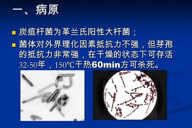 植物炭疽病用什么杀菌剂好