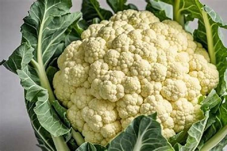 花菜该如何施肥才能高产？