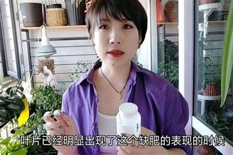 买花送的速效复合肥怎么用  一盆花放几粒复合肥