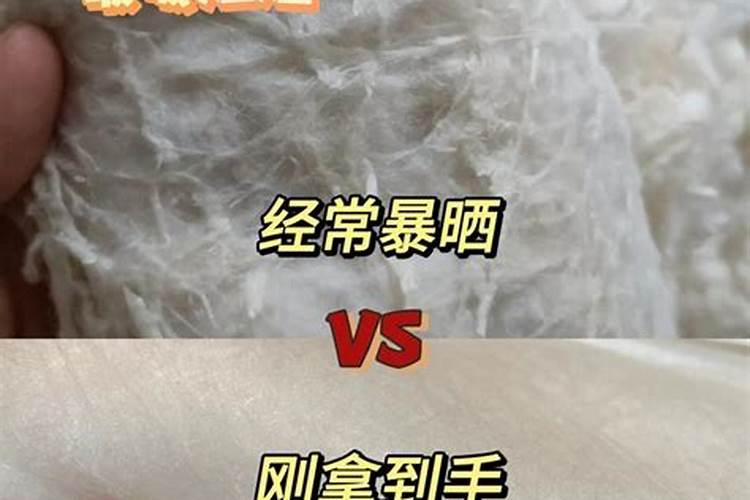 鱼蛋白自制配方