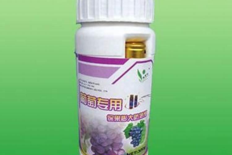 种一亩葡萄要多少成本？