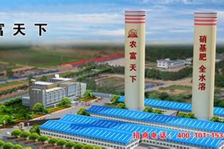 想问荔枝专用叶面肥什么好
