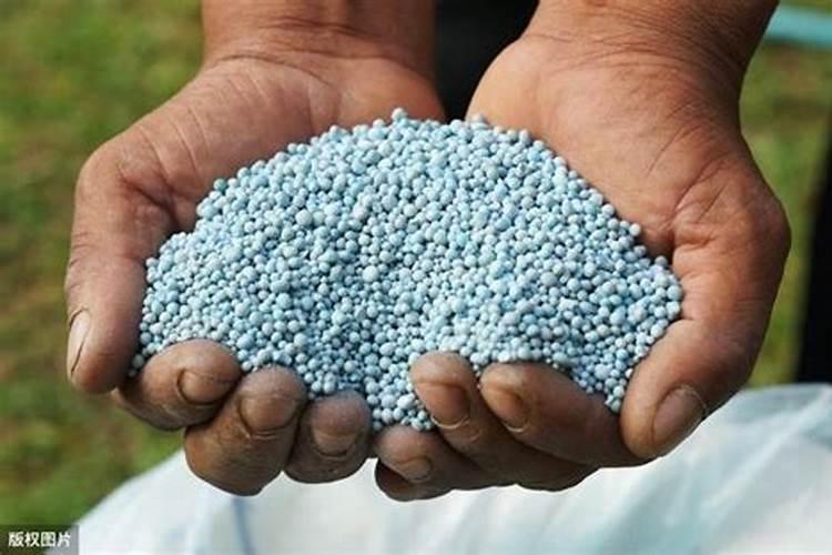 花生追肥用复合肥还是尿素 用什么肥料最好