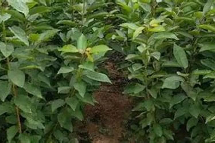 2024年滁州工业企业50强+建筑企业20强+农业产业化企业20强+商贸企业...