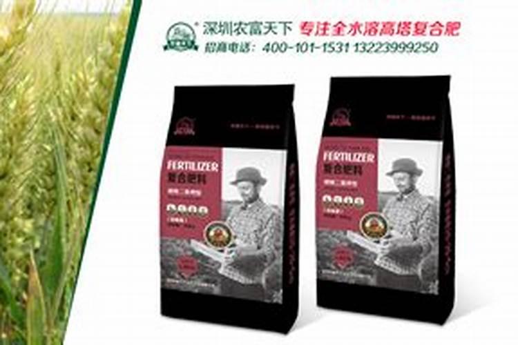 小麦追肥用什么肥料好