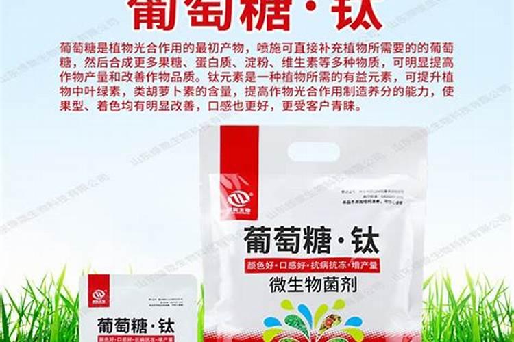 葡萄糖酸钙和糖醇钙哪个容易被植物吸收？