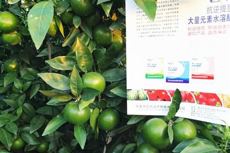 高氮水溶肥有什么效果