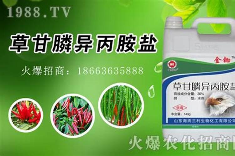 蔬菜生产中如何正确使用除草剂
