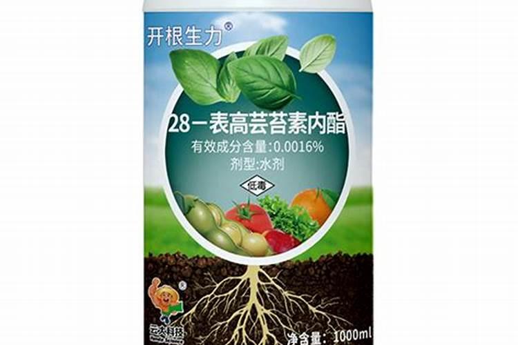 芸苔素能不能解药害
