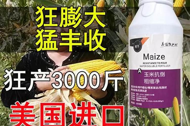 农村经常施锌肥,对玉米生长有哪些好处？