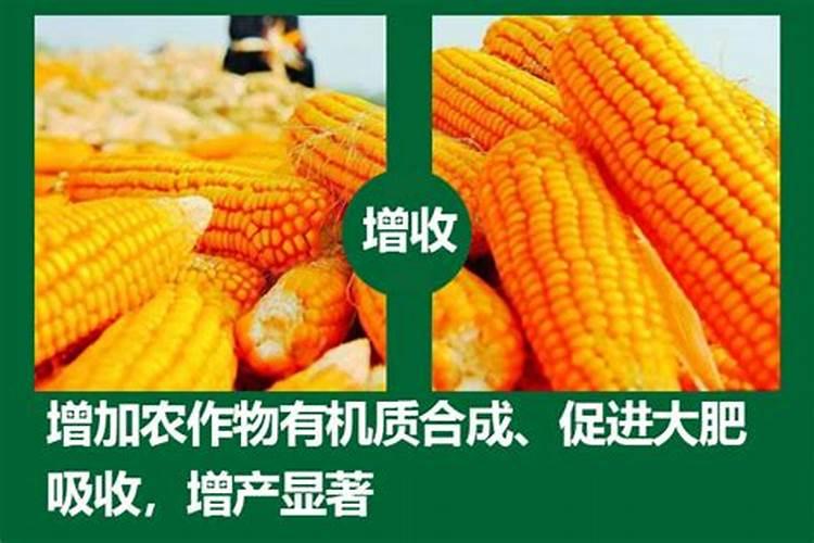 硅肥施肥方法