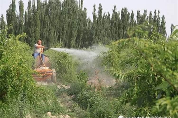 注意:农药这样混配,药效全无!没准你经常干!