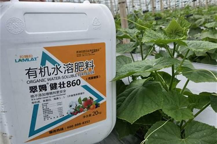 农作物硼肥中毒怎么办