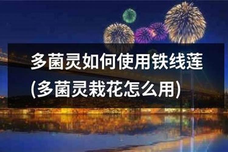 多菌灵是一种常见的杀虫剂,跟什么药搭配最有效？