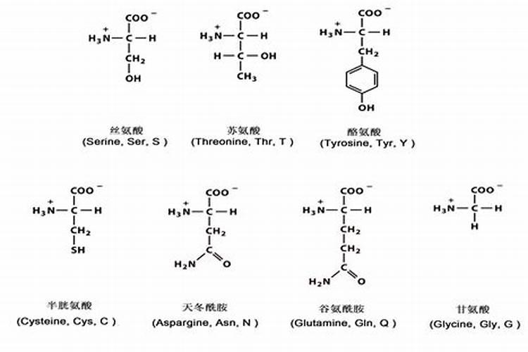 鱼蛋白肥料的功效与作用